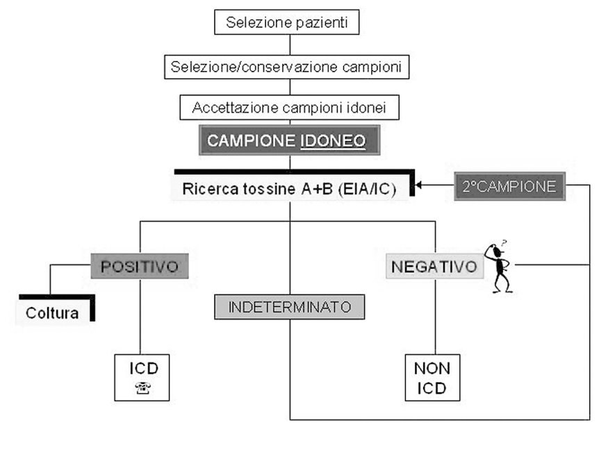 Prevenzione e controllo delle infezioni da C. difficile Figura 1. One step work-up da Fenner L. et Al.