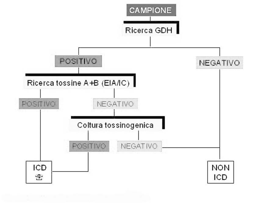 Trattandosi tuttavia di test ritenuti generalmente meno sensibili rispetto a GDH è raccomandabile che in caso di risultato indeterminato o negativo in presenza di elementi clinico-anamnestici