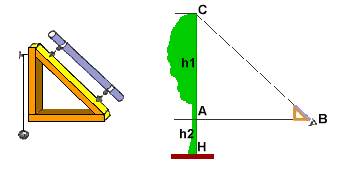 Figura 6 Metodo trigonometrico utilizzato per stimare l'altezza degli individui arborei (fonte web) Dopo aver costruito con tre assicelle di legno un triangolo rettangolo isoscele di 25 cm di lato