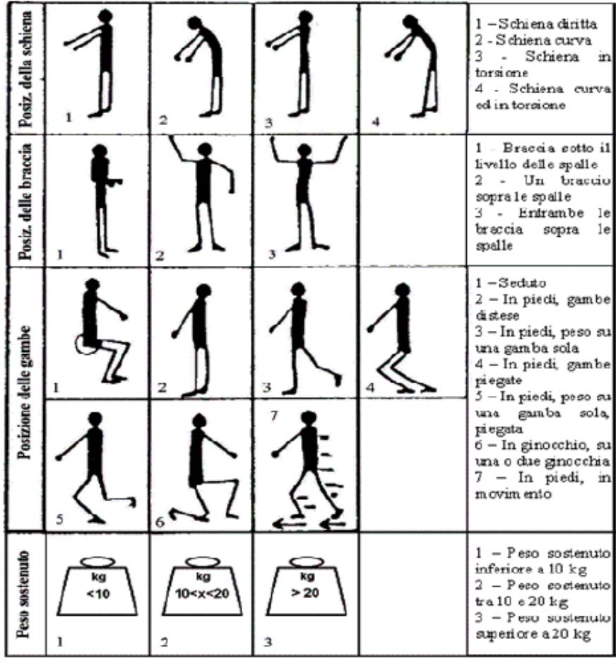 Figura 32 Posture indicate dal metodo OWAS Fonte: figura tratta da Linee Guida Regione Veneto, Metodi per la valutazione del rischio da rischio da sovraccarico biomeccanico del rachide e del rachide