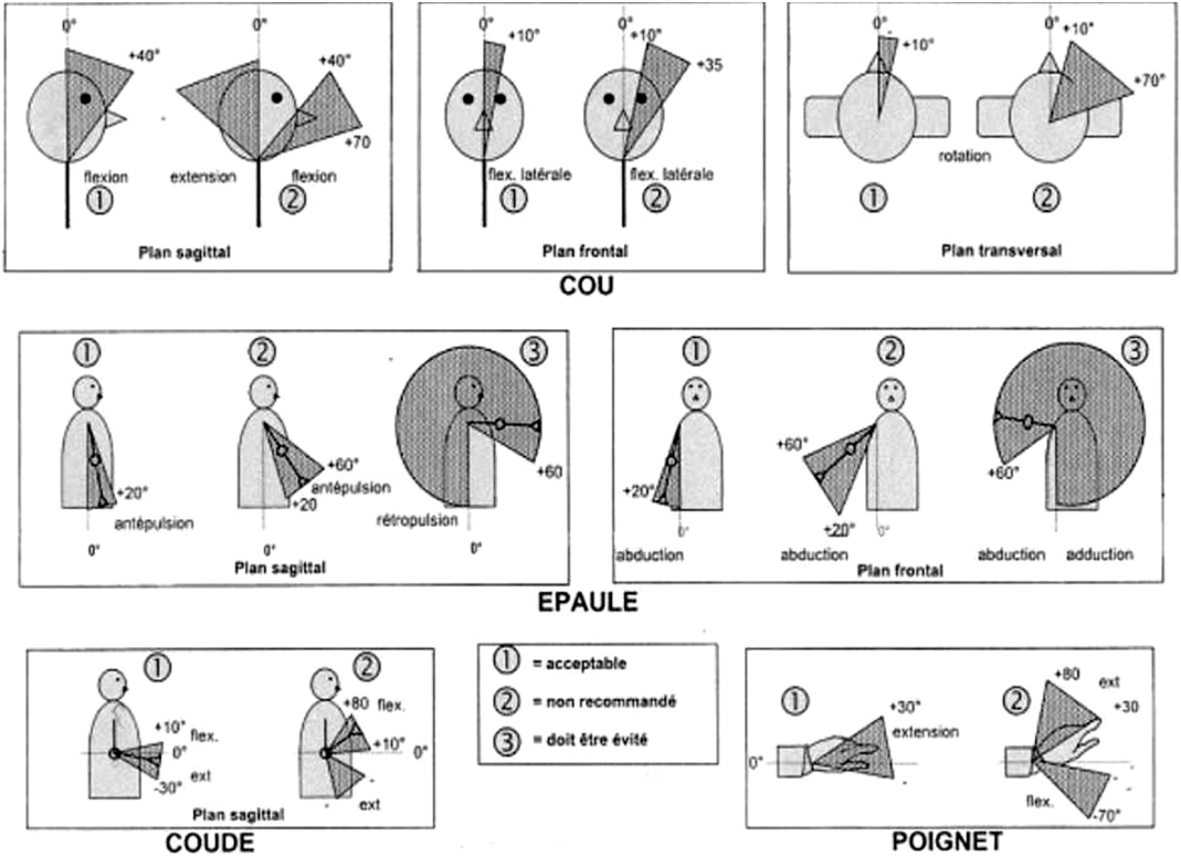 Figura 35 Zone articolari accettabili e zone articolari a rischio Fonte: figure tratte da Regione Veneto, Metodi per la valutazione del rischio da sovraccarico biomeccanico degli arti superiori, 2008