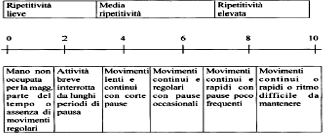 Tabella 55 Scala della ripetitività Fonte: tabella tratta da Regione Veneto, Metodi per la valutazione del rischio da sovraccarico biomeccanico degli arti superiori, 2008 Nella conclusione di questa