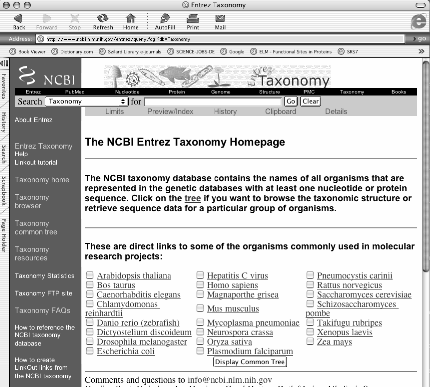 16. Nella casella per la ricerca digita il numero TaxID