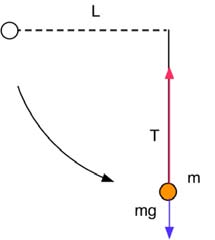 Si noti che pendendo la deivata du / dy si tova esattamente la componente y della foza peso, il cui segno dipende dalla scelta della diezione dell asse y. Esempio: enegia potenziale elastica.
