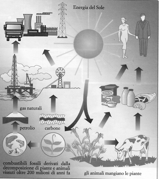 7 Le fonti di energia. La principale fonte di energia è il Sole, che emette radiazione prodotta da reazioni termonucleari con una potenza di 4 x 10 26 W.