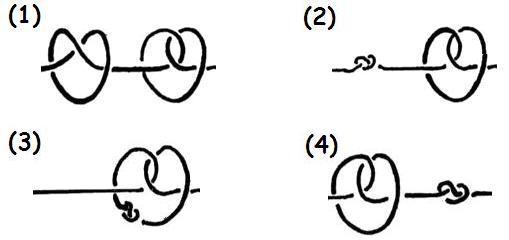 10 CAPITOLO 1. NOZIONI DI BASE Figura 1.18: Commutatività della somma connessa Questi due nodi sono detti fattori del nodo composto. Un nodo che non è composto è detto primo.