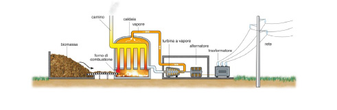 Alcuni esempi di biomassa da colture vegetali Cippato Legname in scaglie normalmente prodotto da legno di bassa qualità, come i residui delle potature boschive, agricole, urbane, gli scarti prodotti