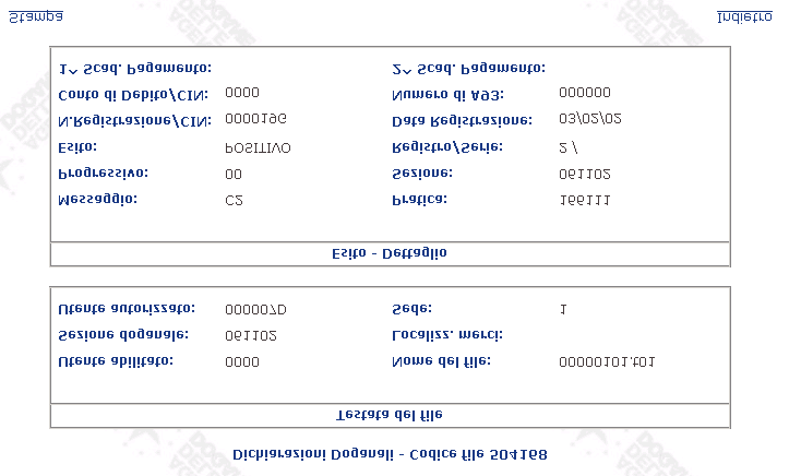 Visualizzazione D ichiarazioni Doganali positivo Selezionando il link Stampa sarà possibile ottenere la