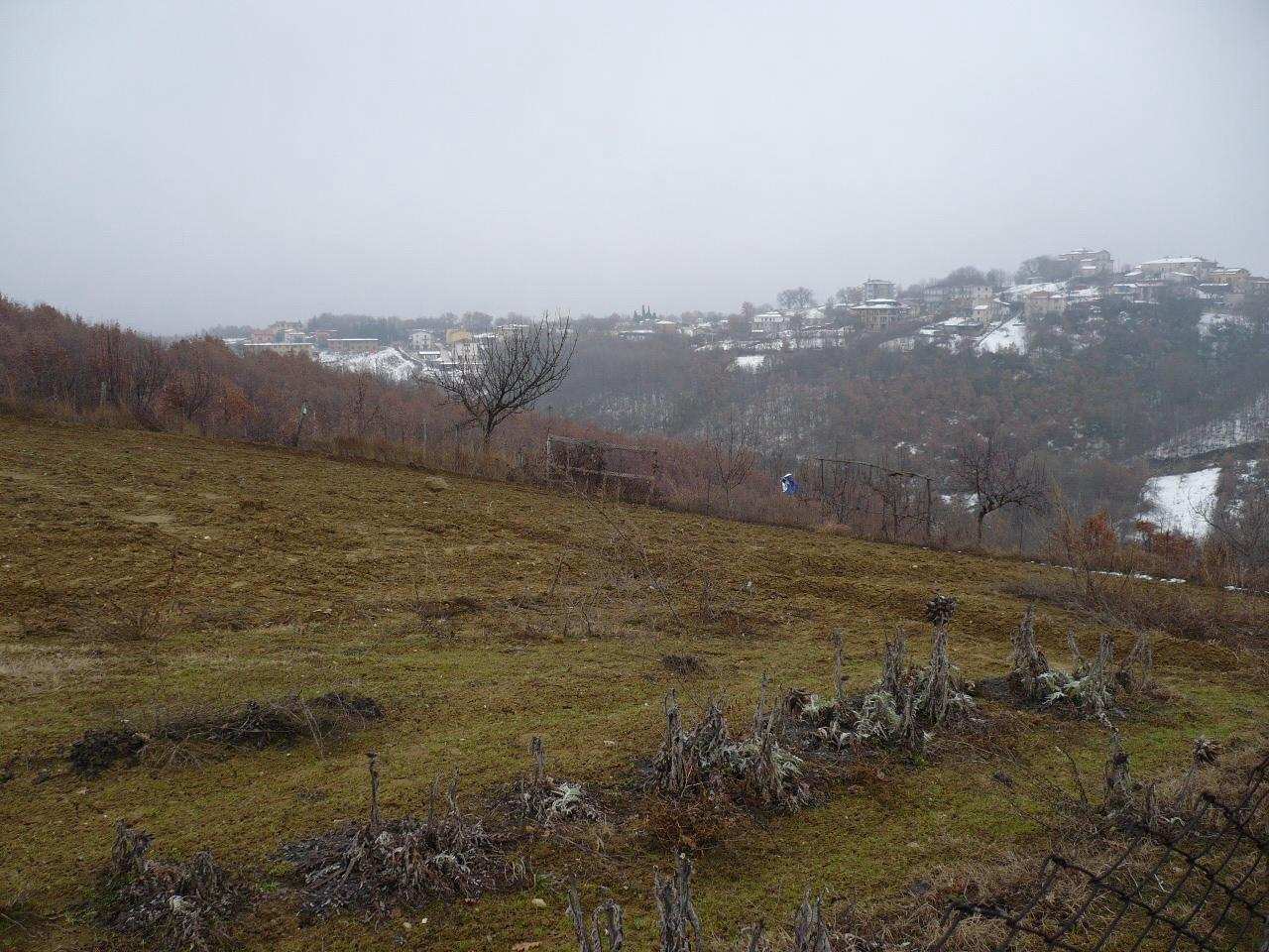 Dalla foto, in alto a sinistra, si scorge anche una porzione del pendio esposta a O, anch essa innevata.