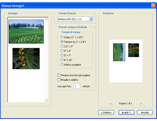 Stampa di immagini su una stampante locale La finestra di dialogo Stampa immagini consente di stampare le immagini desiderate con una procedura semplice.