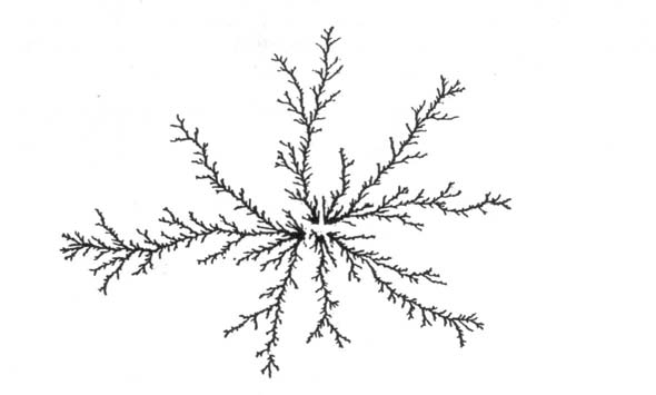 80 4. SISTEMI DINAMICI Figura 4.11: Foglia metallica cresciuta per elettrodeposizione di zinco all interfaccia di una soluzione di solfato di zinco. La dimensione frattale è D = 1.