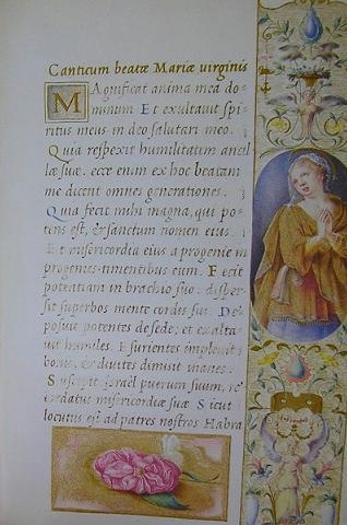 Questa figura richiama alcuni dipinti di Tiziano (1490-1576), oggi conservati al Museo Capodimonte di Napoli: la Maria Maddalena penitente, il ritratto di Giovane donna e la Danae, quest ultima