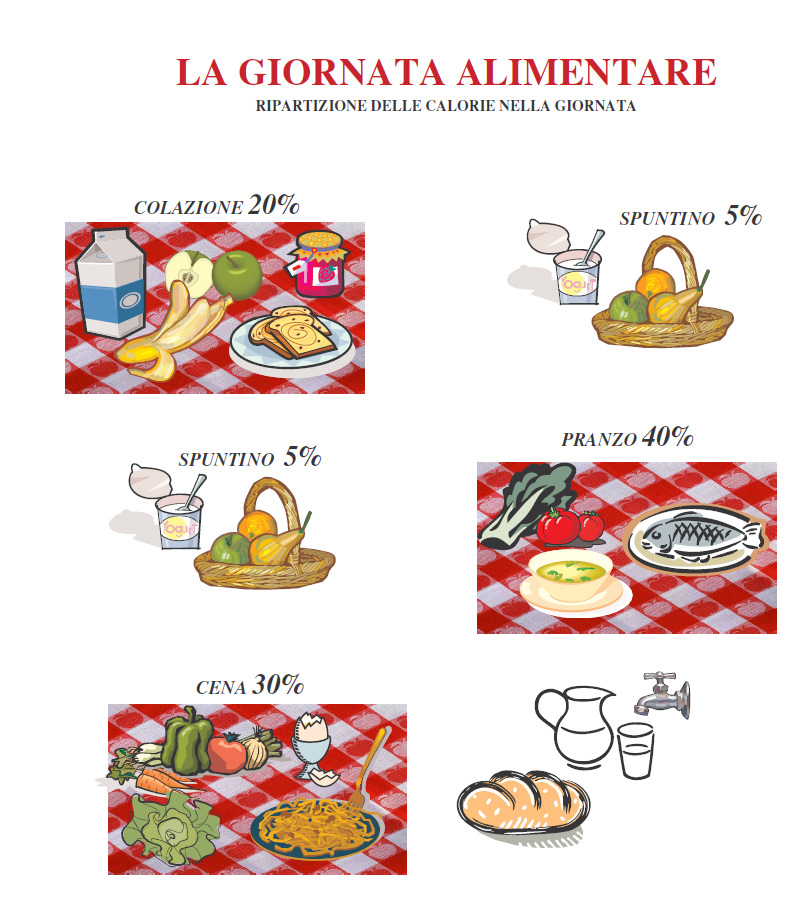 LA GIORNATA ALIMENTARE Ripartizione delle calorie nella giornata Una buona giornata alimentare è necessariamente