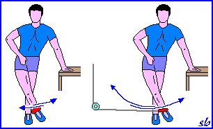 un'escursione articolare maggiore. SLANCI DI UNA GAMBA IN DENTRO DA STAZIONE ERETTA (standing hip adduction) (con cinturino zavorrato o pulley machine) - Mantieni il busto eretto e fermo.