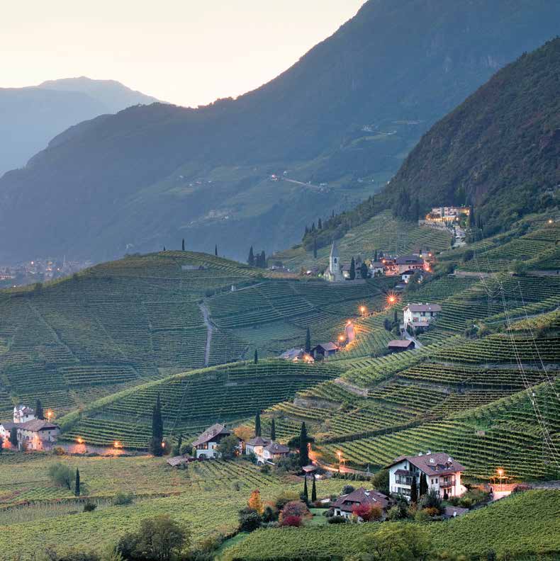 Forfaits vacances Vous aimeriez venir à Bolzano? Vous souhaitez passer des vacances culturelles? Ou vous préférez faire des excursions à la découverte du Haut-Adige?