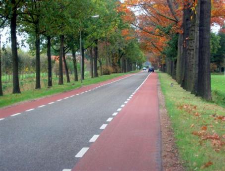 Infrastrutture Give Cycling a Push INFRASTRUTTURE / COLLEGAMENTI DELLA RETE PISTE CICLABILI SU CORSIA RISERVATA Visione d insieme Una pista ciclabile su corsia riservata è uno spazio sulla strada