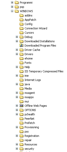 diventando un segno +. Ad esempio la cartella di nome Windows contiene il segno + ossia non è espansa nelle sue sottocartelle di primo livello.