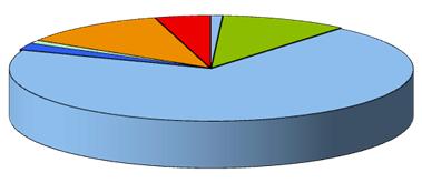 statali ed Enti Pubblici 0,1% Edilizia 8,2% altri 8,1% Agricoltura e attività connesse Alimentari e affini 9,0% 2,4% Tessile e abbigliamento 4,3% Legno e mobili 2,5% Metallurgia e meccanica 6,6%