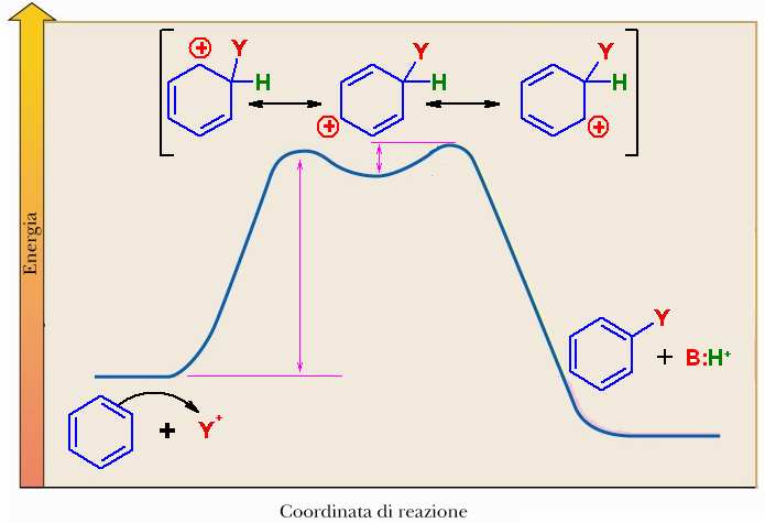 Meccanismo generale della reazione di sostituzione elettrofila sulla molecola di benzene da parte del generico