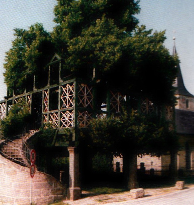 Secondo alcuni testi i Romani costruivano case sugli alberi per abbellire i giardini delle loro ville. Ad esempio, nell opera Storia Naturale, scritta nel 79 d.c., Plinio il Vecchio parla di due case che si trovavano su maestosi platani.