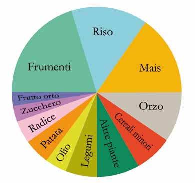 GLOSSARIO Figura 40 Diagramma che rappresenta la produzione delle principali specie coltivate. Circa il 50% della produzione agricola mondiale é costituita da tre cereali, frumento, riso e mais.