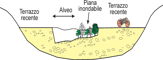 perifluviale comprende anche varie porzioni di terrazzi recenti, pertanto la piana