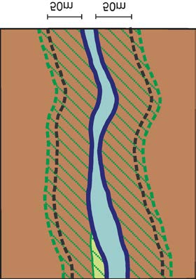 superficie delimitata dalla fascia dei 50m Classe B Estensione areale della vegetazione connessa all alveo 33 90% della superficie delimitata dalla fascia dei 50m