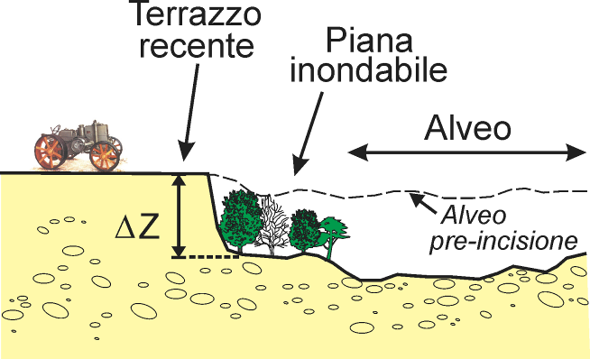 GUIDA ILLUSTRATA ALLE RISPOSTE VARIAZIONI MORFOLOGICHE