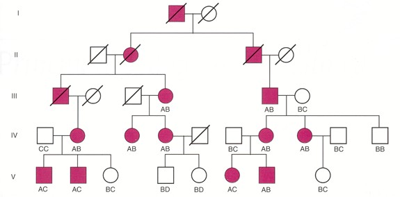 (21) Nel seguente albero genealogico è presentata una famiglia in cui segrega l Emofilia A, malattia X-linked recessiva.