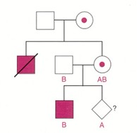 (23) Il seguente pedigree mostra un esempio di diagnosi molecolare di una malattia genetica, mediante l uso di un polimorfismo del DNA in linkage, con una distanza di mappa di circa 5 cm tra il locus