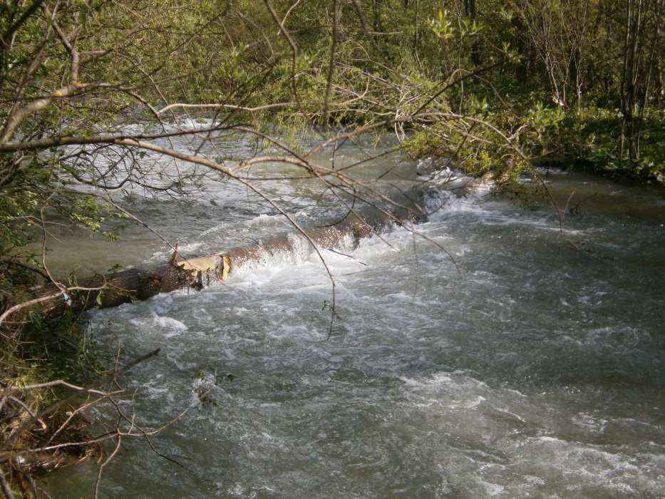 substrato (ghiaia medio-fine) e dell idrodinamica (velocità e