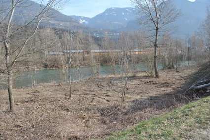 Introduzione: vegetazione ripariale in Alto Adige Per il F.