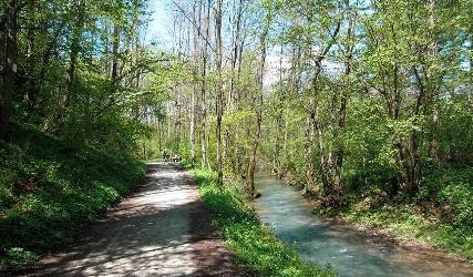 Le attività previste dal Progetto proposto sono: Ricostruzione delle zone umide (Laghetto del Grès; Zona umida di Mozzo, località Carpiane); Creazione habitat naturali Piana di Valbrembo;