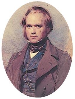 cinque anni (1831-1836) sul brigantino inglese Beagle, Darwin osservò