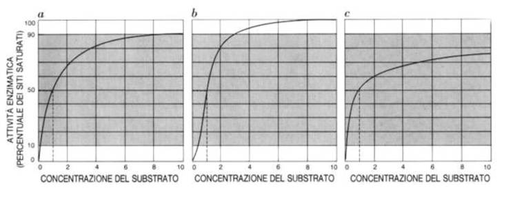 5. Gli enzimi regolatori e il metabolismo TUTTI gli enzimi risentono della variazione di qualche parametro ambientale (temperatura, ph,.