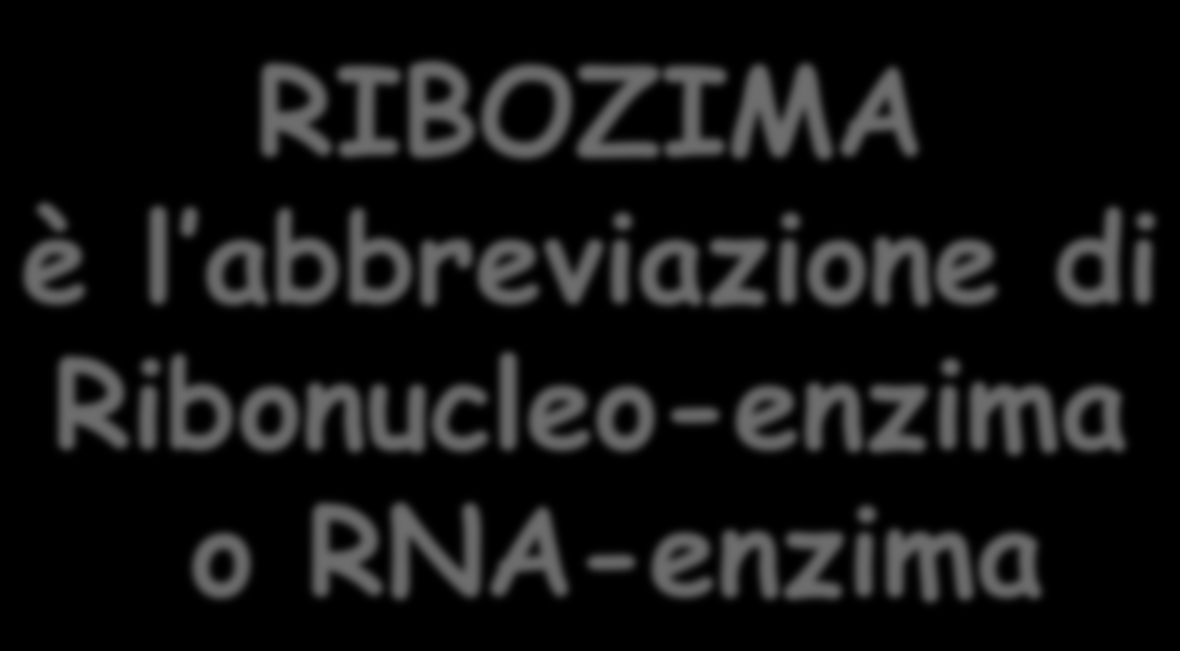 RIBOZIMA è l abbreviazione di