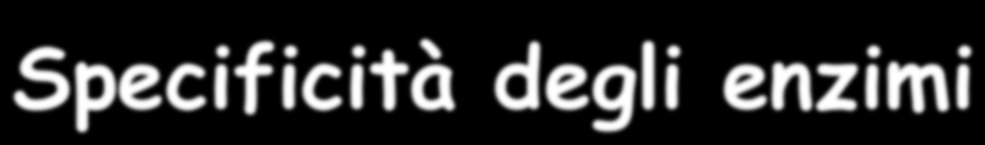 Specificità degli enzimi Specificità assoluta: l enzima catalizza solo una reazione Specificità di gruppo: l enzima agisce solo su molecole che hanno uno specifico gruppo chimico Specificità di