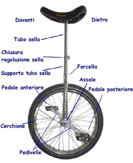 Monociclo standard Le dimensioni di un monociclo sono definite dal diametro della ruota.