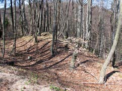 37: Andamento delle strutture di sbarramento presso Zarakovec nella valle del fiume Bača (base cartografica: Geopedia.