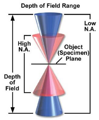 La Risoluzione Fin ora si è considerato che un punto dell oggetto viene riportato come un punto nell immagine.