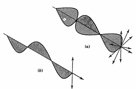 (b): luce polarizzata consistente di onde costrette a vibrare secondo un unico piano lungo la direzione di propagazione.