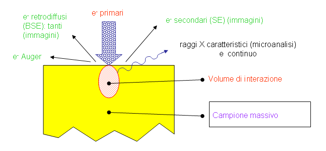I Raggi X caratteristici: o vengono impiegati per la microanalisi, e sono generati quando un e - viene espulso dall atomo: se questo è vicino al nucleo, rende l atomo instabile, per cui vengono