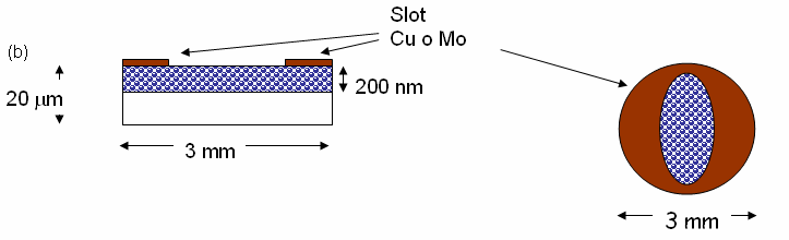 In microscopia elettronica il diametro standard del campione è 3mm, dal momento che se il campione è molto piccolo risulta più facile creare due facce perfettamente piane.