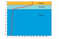 Stratificazione termica metri temperatura ( C) La zona superiore, epilimnio, presenta un intensa produzione di ossigeno ad opera dei vegetali; con il sopraggiungere dell inverno, lo strato