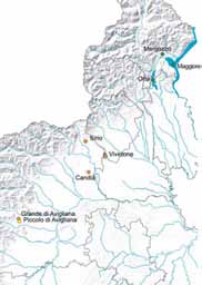 Zone di balneazione dei laghi Maggiore, Orta, Mergozzo Viverone, Avigliana grande e piccolo, Candia e Sirio - anno 2009 Fonte: Arpa Piemonte, Regione Piemonte Fioriture algali Nel lago Maggiore, per