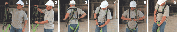 3) Far scivolare le bretelle sopra le spalle in modo che l'anello D si trovi al centro della schiena.