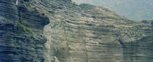 39 - L altezza delle falesie, con l arretramento delle ripe a causa dell erosione del mare,