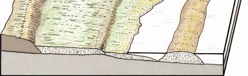 materiali rocciosi costituenti il fondale, come le barre (s), favoriscono la sedimentazione in certi punti, con formazione di cordoni litoranei (b) che isolano una frazione di mare davanti alla costa