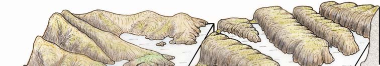 fiordi, che sono invece insenature strette e profonde, spesso ramificate, causate dalla sommersione di valli formatesi per l azione di