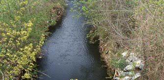 12 - A sinistra un piccolo corso d acqua biologicamente ricco e diversificato. A destra lo stesso fiume dopo un intervento di sistemazione idraulica.
